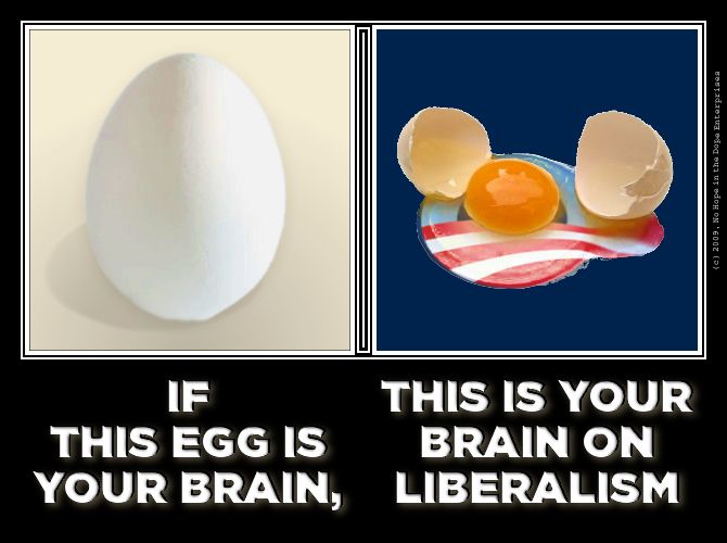 Obama,Democrats,liberalism,liberals,brain,your brain,your brain on liberalism,your brain on drugs,egg,cracked egg