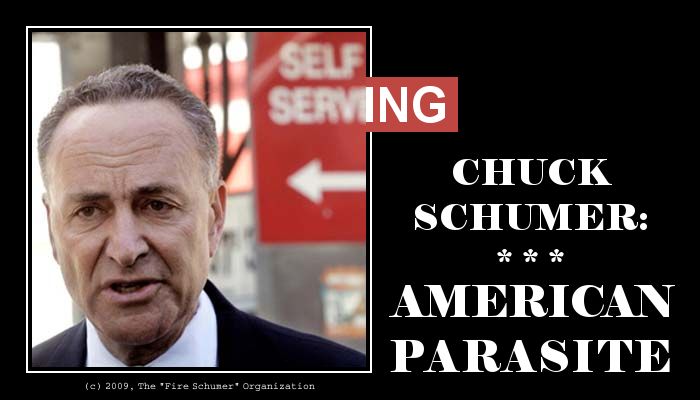 Schumer,Chuck Schumer,Democrats,parasite,parasites,American Parasite
