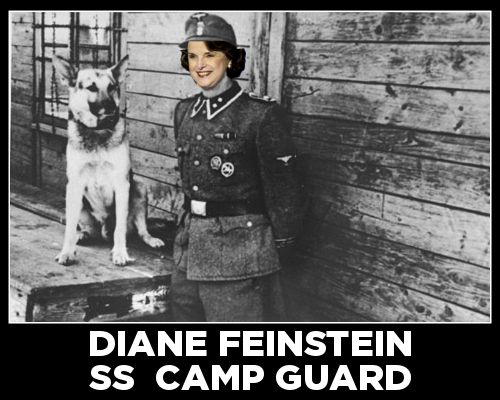 Diane Feinstein:  SS Camp Guard, So-called "senator" Diane Feinstein has proved beyond any doubt that she is the moral equivalent of a Nazi SS camp guard with her remarks regarding taxpayer-financed baby-killing.