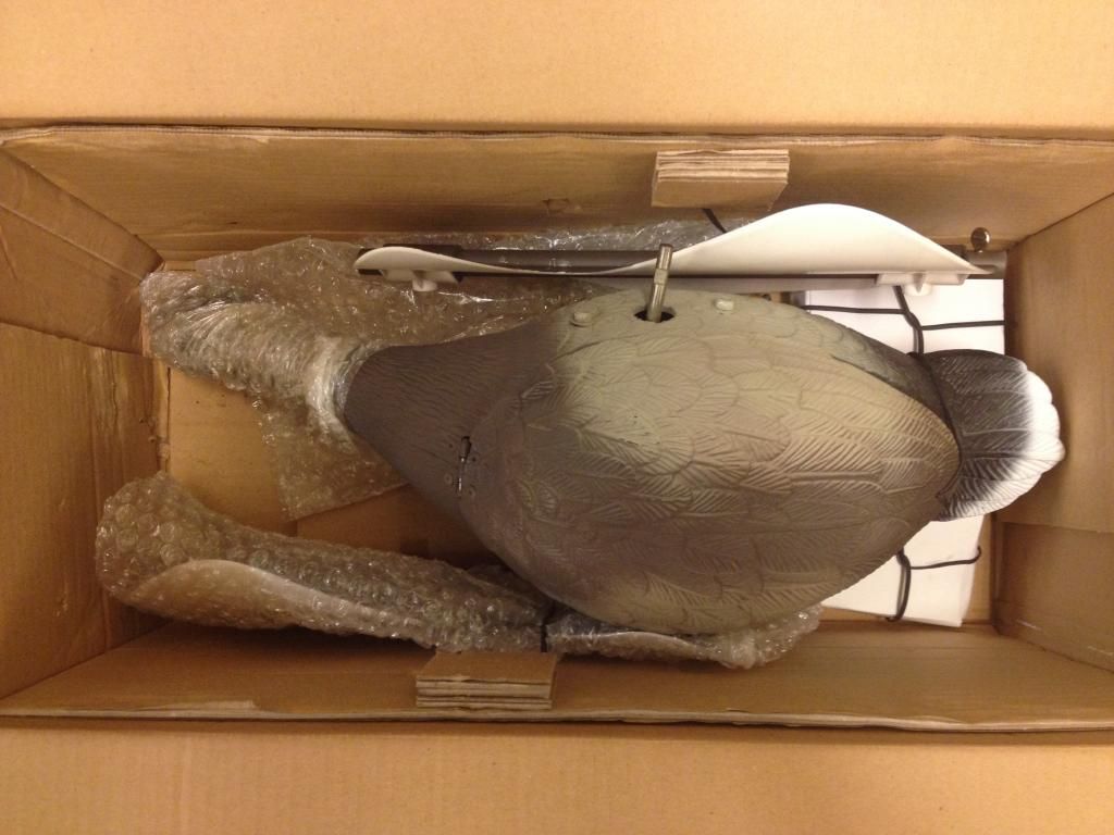 2 Super Lucky Duck motion decoys for SALE Eastern NC Duck Hunting Forum