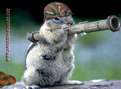 squirrel_bazooka.jpg