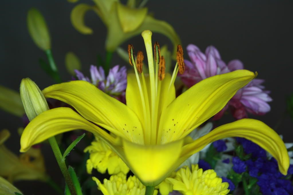 IMAGE: http://i758.photobucket.com/albums/xx225/tatymum/IMG_3956.jpg