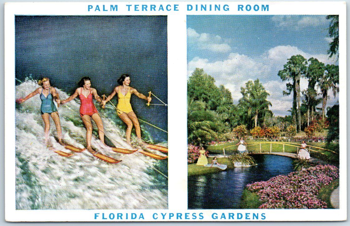 Winter Haven Florida Postcard CYPRESS GARDENS 1950 Palm Terrace ... Winter Haven Florida Postcard CYPRESS GARDENS 1950 Palm Terrace ...