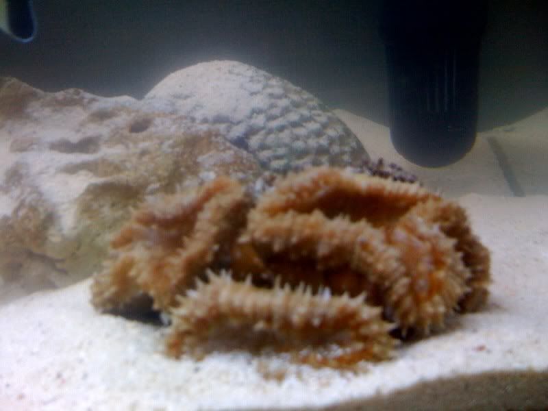 photo-1.jpg