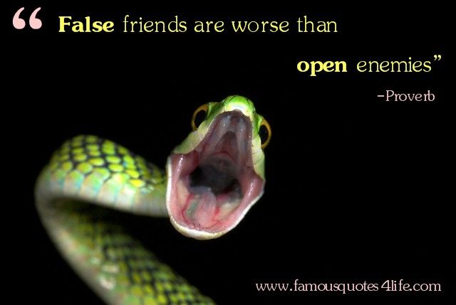 false friendship