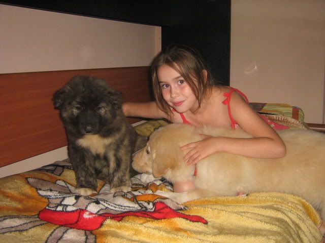 http://i758.photobucket.com/albums/xx228/claudel007/IMG_3419.jpg