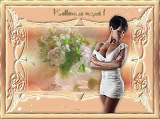  photo 795_zps78e37036.jpg