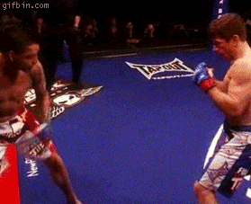 1241025998_knock-out-punch.gif