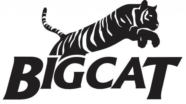 BigCat_zps66wfoos0.jpg