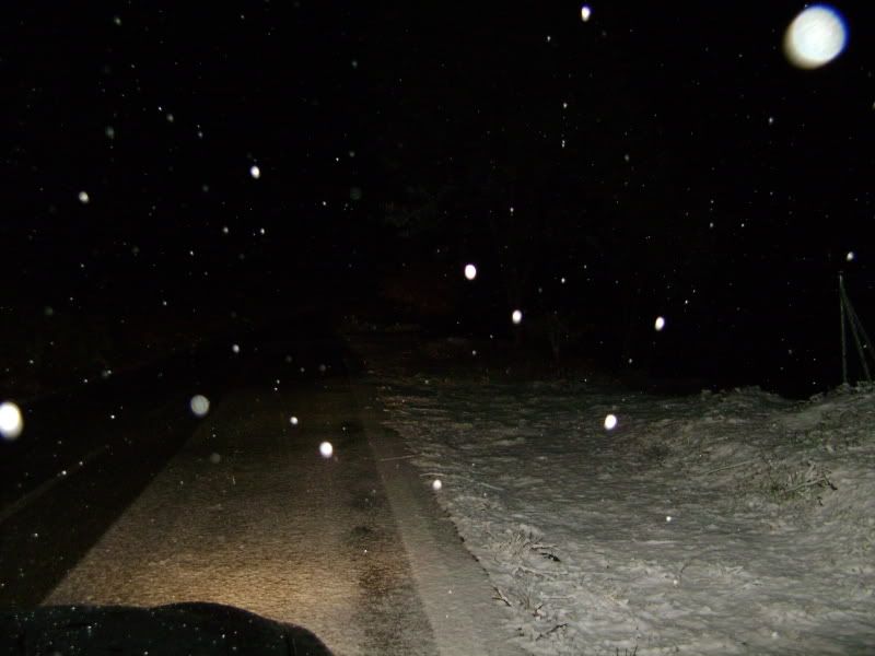 DSC00114.jpg