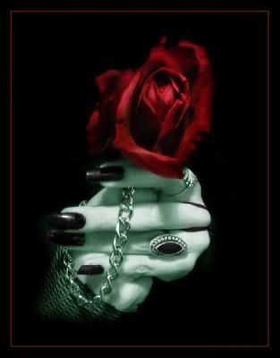 Vampire Rose of Love Pictures, Images and Photos